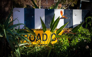 Bird of paradise flowers by a Newtown road sign